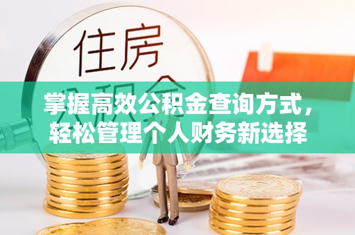 麦盖提掌握高效公积金查询方式，轻松管理个人财务新选择