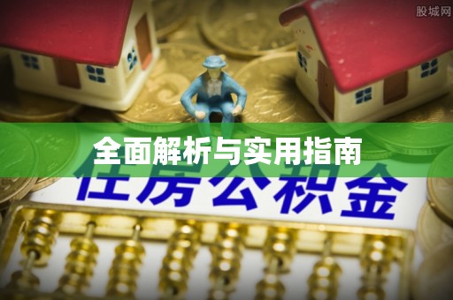 麦盖提全面解析与实用指南